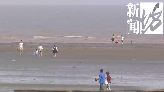 “別親了！”情侶海邊忘情激吻，旁人大聲喊停