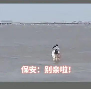 “別親了！”情侶海邊忘情激吻，旁人大聲喊停