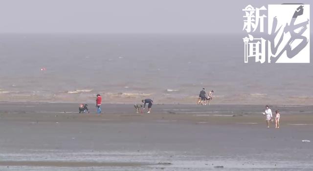 “別親了！”情侶海邊忘情激吻，旁人大聲喊停