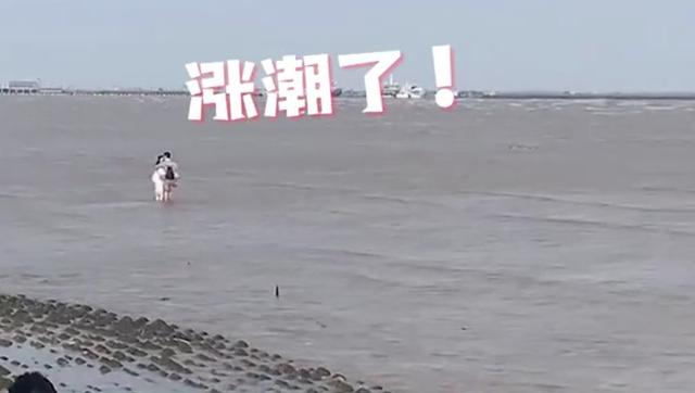 “別親了！”情侶海邊忘情激吻，旁人大聲喊停
